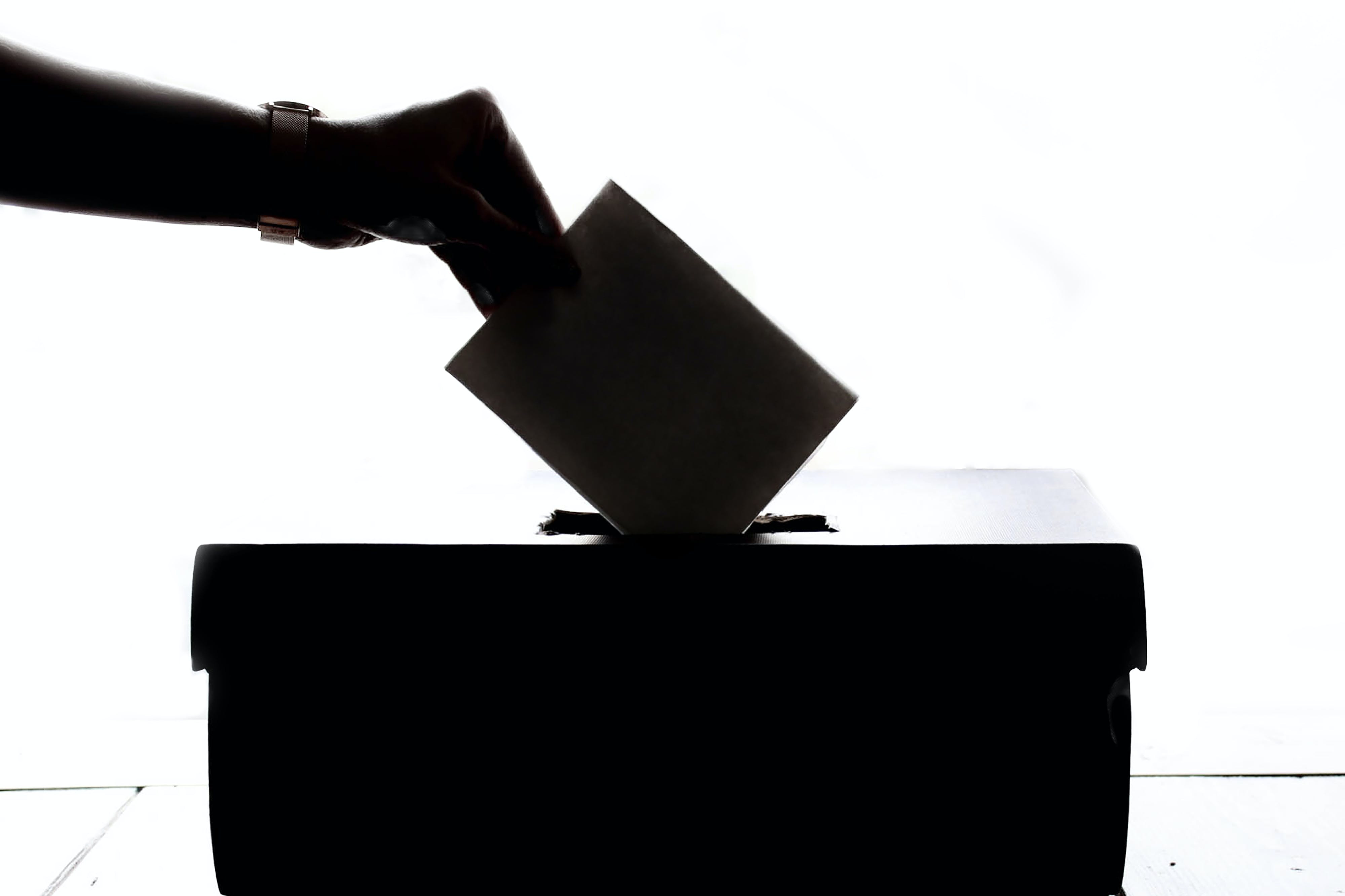 Votaciones-online